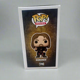 Funko POP! Lord of the Rings LOTR Boromir Meme Figure #1709!