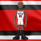 Funko Vinyl Gold 5” Dennis Rodman - Chicago Bulls NBA Legends Figure!