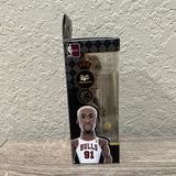 Funko Vinyl Gold 5” Dennis Rodman - Chicago Bulls NBA Legends Figure!
