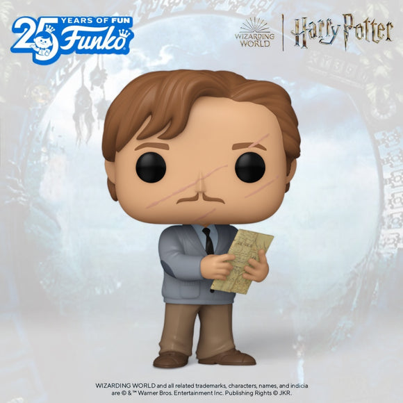 Funko Pop! Harry Potter Prisoner of Azkaban Remus Lupin #169