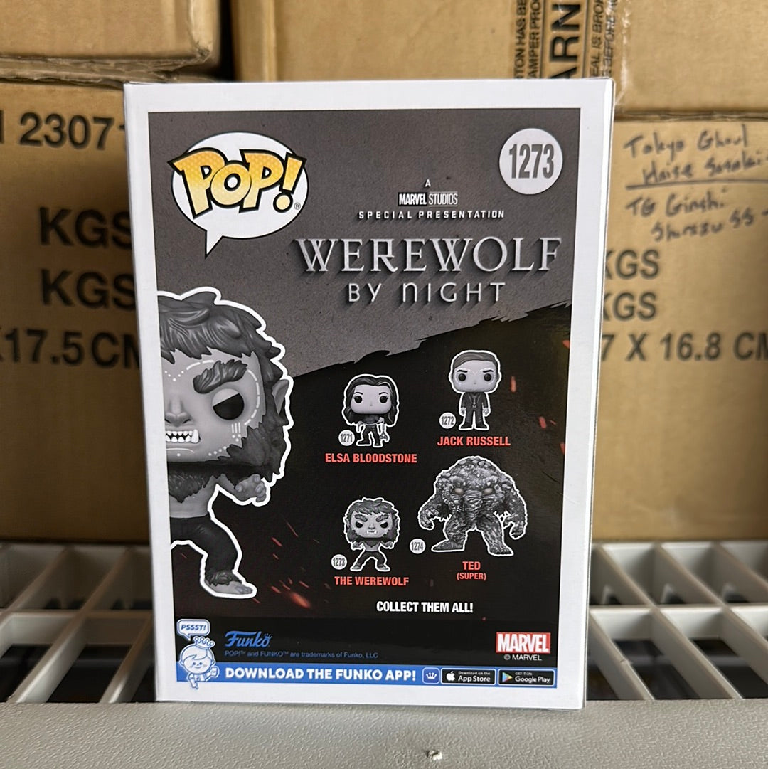 WEREWOLF BY NIGHT - POP Marvel N° 1273 - Werewolf : : Bobble  Head POP Funko Marvel